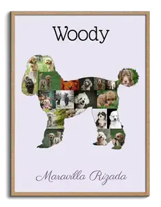 Crea tu Collage de Poodle Personalizado: Recuerdos en Cada Rizo