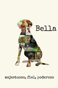 Crea tu Collage Canino Personalizado de Rhodesian Ridgeback ¡Inolvidable!