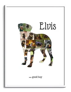 Crea tu propia collage de Rottweiler con fotos personales y texto único.