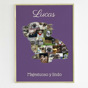 Crea tu collage Shih Tzu único: Personaliza fotos y texto