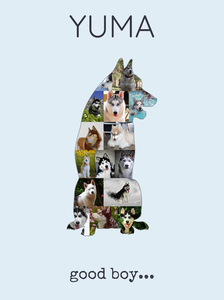 Crea una Collage Personalizada de Husky Siberiano con Fotos de tu Perro