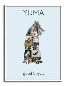 Crea una Collage Personalizada de Husky Siberiano con Fotos de tu Perro