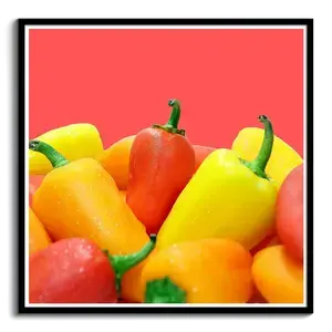 Crea tu lienzo personalizado con fotos vibrantes y únicas