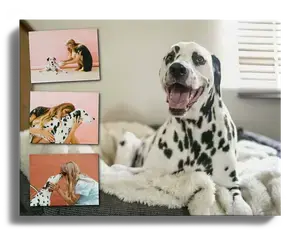 Crea tu collage de perro en Alu-Dibond XXL y personaliza el diseño