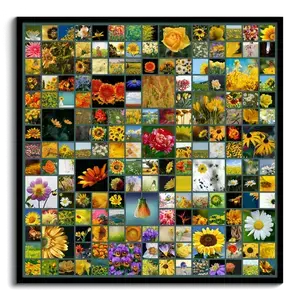 Crea tu collage de fotos naturales para una decoración única
