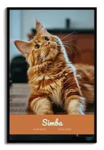 Collage en memoria de tu gato: personalízalo con 1 foto, nombre y fechas