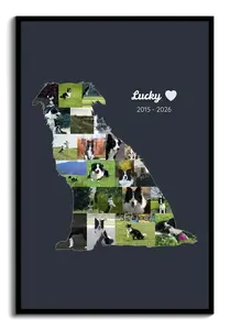 Diseña collage en silueta de perro en memoria de tu mascota con tus fotos, nombre y años