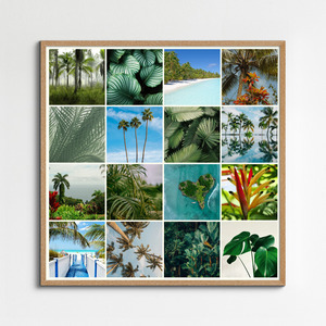 Collage de fotos de naturaleza crea e imprime premium plantas, palmeras y selva tropical