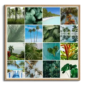 Collage de fotos de naturaleza crea e imprime premium plantas, palmeras y selva tropical