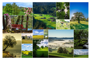 Collage de fotos de paisajes: crea el tuyo con impresión premium ahora