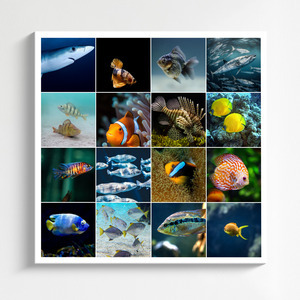 Collage de buceo con tus fotos marinas: crea e imprime póster premium