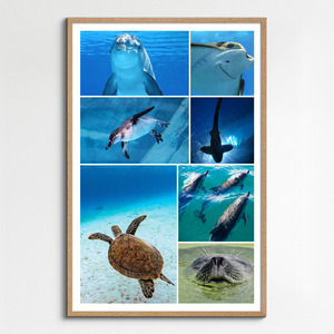 Collage de buceo con tus fotos marinas: crea e imprime póster premium