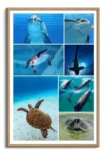 Collage de buceo con tus fotos marinas: crea e imprime póster premium