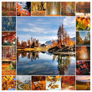 Collage de fotos de naturaleza y animales 4 estaciones: crea e imprime en calidad premium