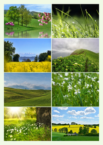 Collage de fotos de naturaleza y animales 4 estaciones: crea e imprime en calidad premium