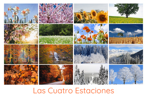 Collage de fotos de naturaleza y animales 4 estaciones: crea e imprime en calidad premium