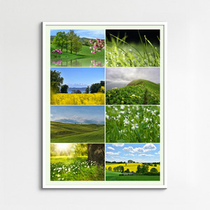 Collage de fotos de naturaleza y animales 4 estaciones: crea e imprime en calidad premium