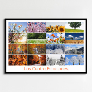 Collage de fotos de naturaleza y animales 4 estaciones: crea e imprime en calidad premium