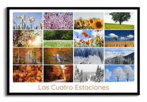 Collage de fotos de naturaleza y animales 4 estaciones: crea e imprime en calidad premium