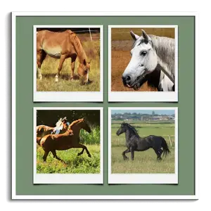 Crea tu collage Polaroid de animales salvajes con textos personalizados