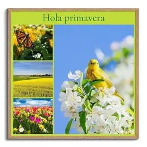 Cuadros de primavera en collage: flores y prados en flor. Personalízalos con tu texto