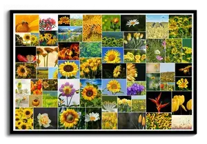 Crea tu collage moderno: 61 fotos de flores, decorativo y personalizable