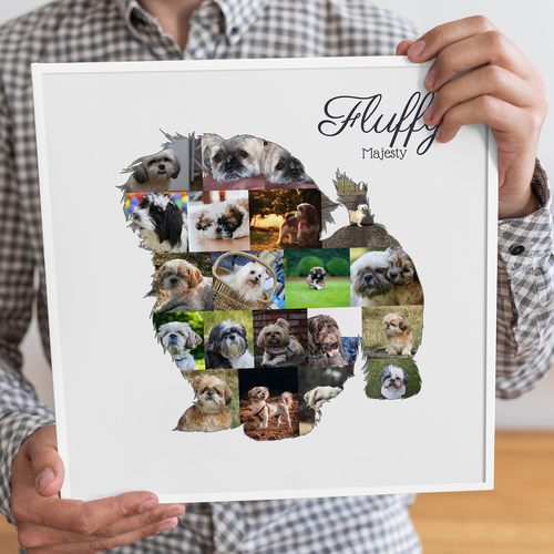 Crea tu collage Shih Tzu único: Personaliza fotos y texto