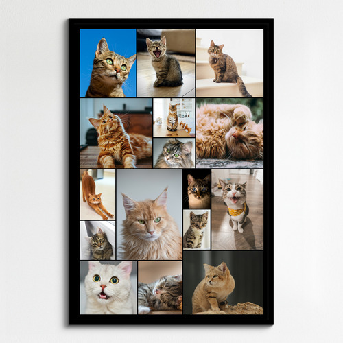 Collage de fotos de tu gato: crea y personaliza con Corazón en 4 patas