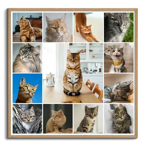 Collage de fotos de tu gato: crea y personaliza con Corazón en 4 patas
