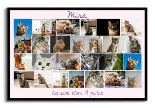 Collage de Fotos de Gato - "Corazón a 4 Patas" Collage de Fotos de Gato - "Corazón a 4 Patas"