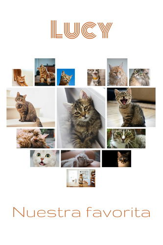 Collage corazón con fotos de tu gato: crea el tuyo con texto o nombre personalizado