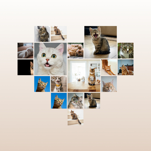 Collage corazón con fotos de tu gato: crea el tuyo con texto o nombre personalizado