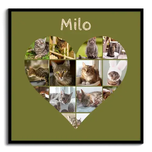 Collage corazón con fotos de tu gato: crea el tuyo con texto o nombre personalizado