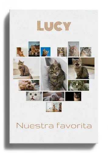 Collage Corazón con Fotos de Gato y Texto