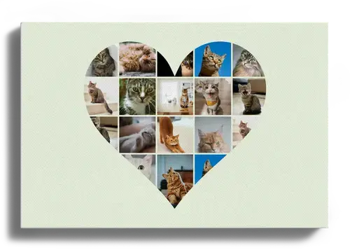 Collage Corazón con Fotos de Gato y Texto