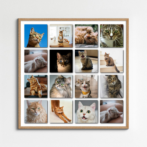 Collage Polaroid de tu gato con fotos y nombre: crea el tuyo ahora
