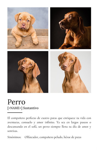 Crea tu Cartel Definición Perro Personalizado: Añade fotos y tu texto único