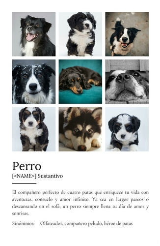 Crea tu Cartel Definición Perro Personalizado: Añade fotos y tu texto único