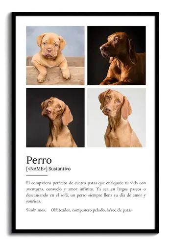 Crea tu Cartel Definición Perro Personalizado: Añade fotos y tu texto único