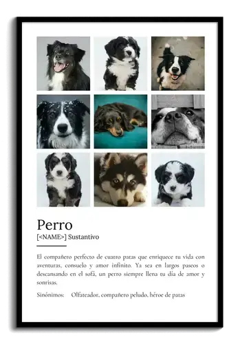 Crea tu Cartel Definición Perro Personalizado: Añade fotos y tu texto único
