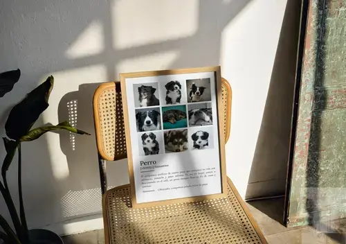 Póster Definiciones Perro - Personalizable