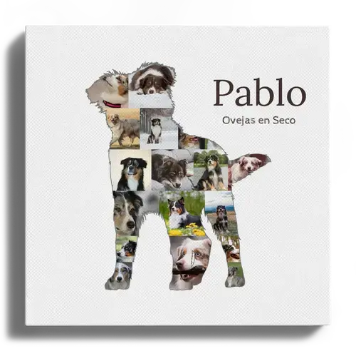 Crea tu collage de fotos personalizado con silueta de pastor australiano