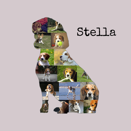 Crea tu collage canino único: Beagle con tus fotos y texto personalizado