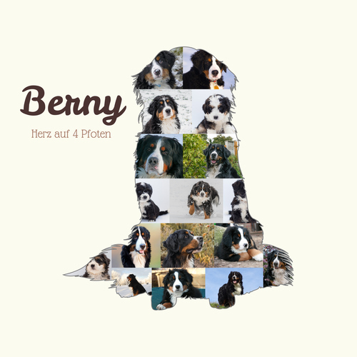 Crea un retrato personalizado de tu Berner Sennenhund con tus fotos y texto