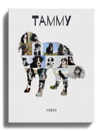 Crea un retrato personalizado de tu Berner Sennenhund con tus fotos y texto