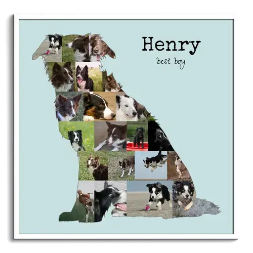 Collage Border Collie personaliza tu recuerdo perruno único