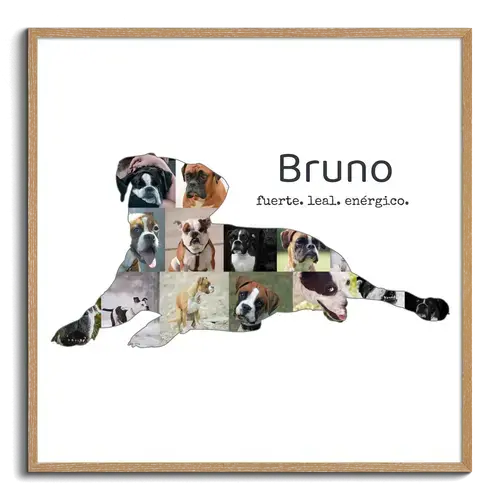 Crea tu propia collage de Boxer: recuerdos únicos para amantes de perros