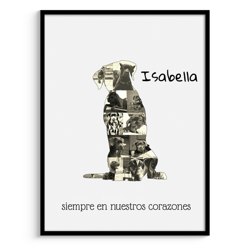 Crea tu collage Cane Corso con fotos y texto personalizados