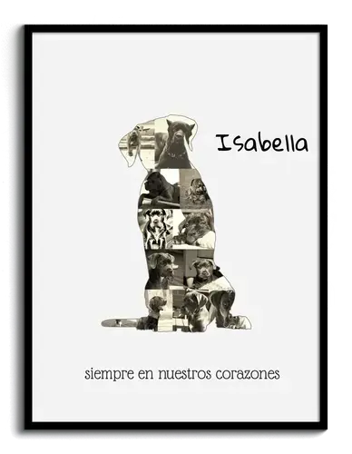 Crea tu collage Cane Corso con fotos y texto personalizados