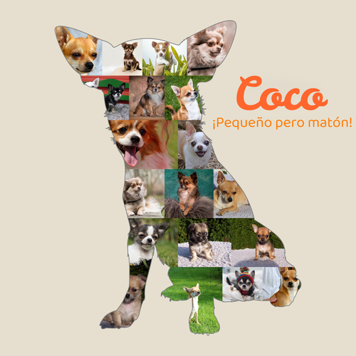 Crea tu Collage de Chihuahua único con tus fotos y texto personal❗